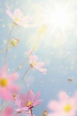 刚好遇见你(刚好遇见你)