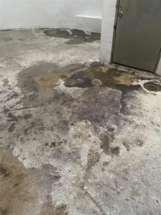 20岁女留学生新加坡坠亡,离毕业不到10天,死因成谜男友身份曝光