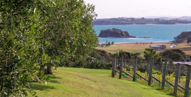 用不一样的角度和世界相遇|玩趣计划