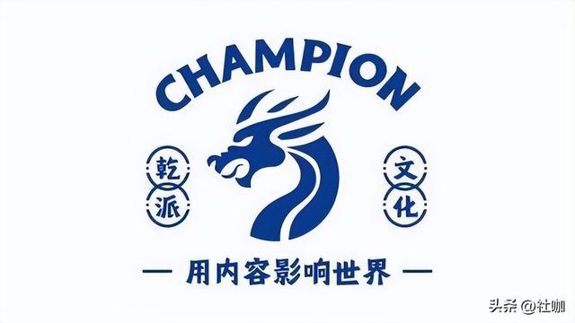 国内十大知名MCN机构排名