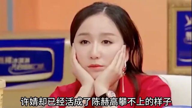 陈赫：跟初恋离婚转身迎娶张子萱，婚后仅靠副业总资产破千亿！