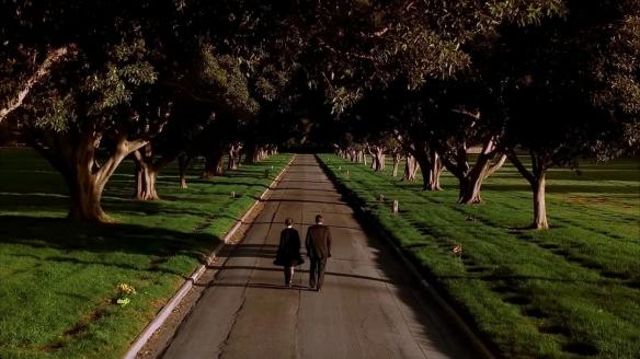 吃饭的时候千万别刷！推荐十部精彩刺激的重口法医剧