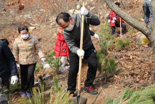 【植树节特辑】威海中院:我看青山多妩媚,料青山看我应如是