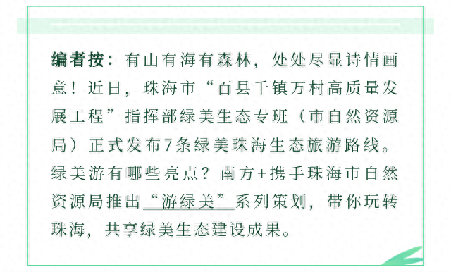 这些高颜值岭南古村,藏着珠海最美的田园风光|游绿美①