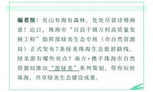 栖霞仙馆(这些高颜值岭南古村，藏着珠海最美的田园风光｜游绿美①)