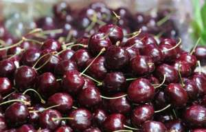 穿山甲价格(超2万吨车厘子跨越山海，“甜”满了什么？)