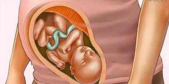 怀孕时妈妈和胎宝是怎么慢慢变化的，十张过程图，妈妈不容易