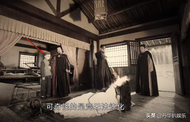 《司藤》:秦放是树,白金是鸟,那白英的后代是谁?