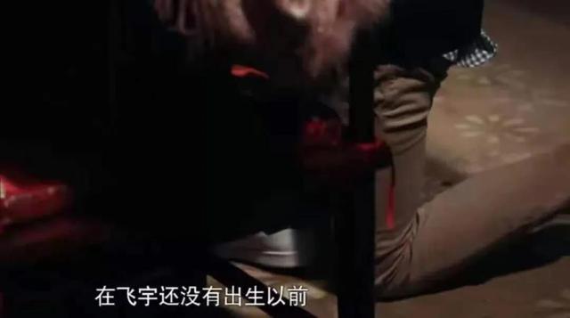 父亲是陈凯歌，母亲是陈红，强捧好几年都红不了，陈飞宇也很无奈