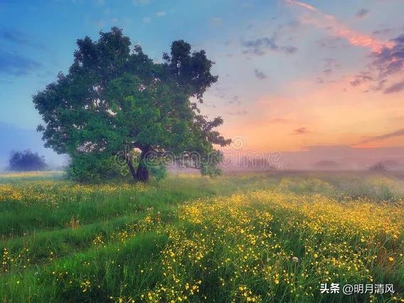 父母已老，以包容之心守护渐老的双亲