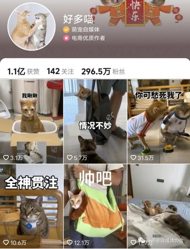 海南生活类自媒体Top30排行榜
