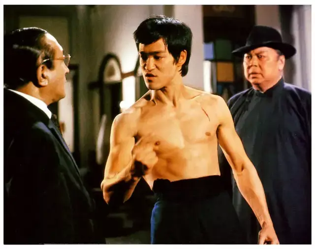 武功片(15部全程高能的武术动作电影)