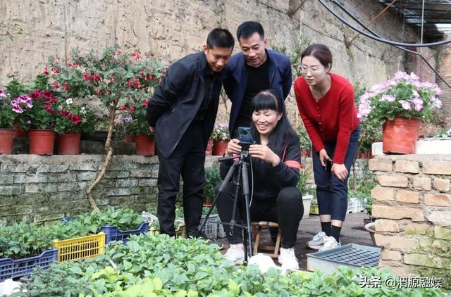 甘肃渭源:灯笼花开福满源 棚内直播诚收米