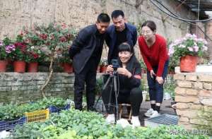 收米直播(甘肃渭源：灯笼花开福满源 棚内直播诚收米)