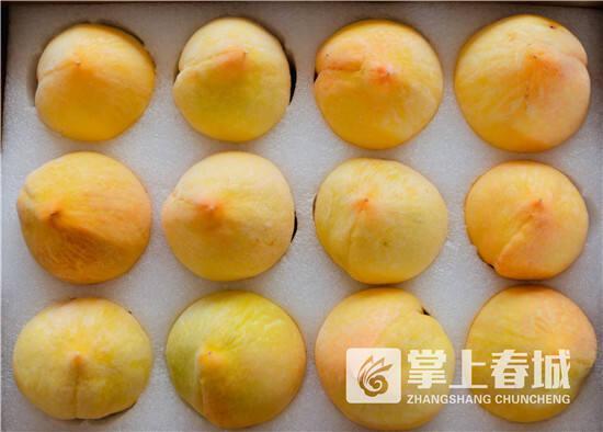 晋宁区丰收季水果盛宴采摘路线来袭