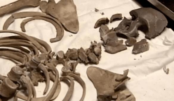 吃饭的时候千万别刷！推荐十部精彩刺激的重口法医剧