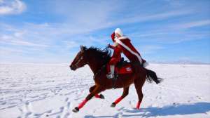 贺娇龙(新疆“网红局长”贺娇龙:因策马雪原走红,直播带货破亿元)