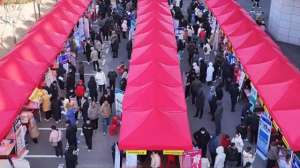 李金泽(新华视点|“春风行动”送岗忙 带来新年新希望)