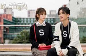 g小调进行曲(《G小调进行曲》定档，又一部音乐题材甜宠剧，主演都是老熟人)