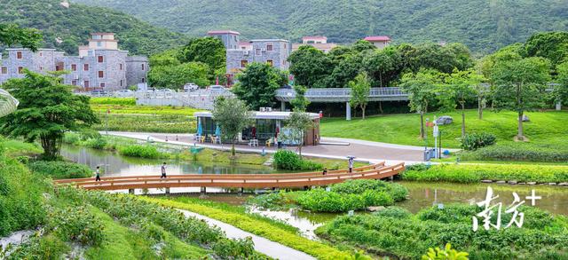这些高颜值岭南古村,藏着珠海最美的田园风光|游绿美①