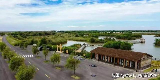 东营市青年钢琴家李约翰  为黄河入海献曲