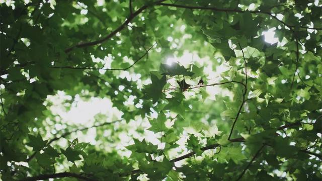 “那年夏天，我赚到了自己的第一桶金！”高考结束后的暑假，你做了哪些事？