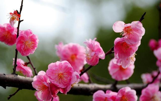 敦煌诗词楹联学会‖王一一诗词20首