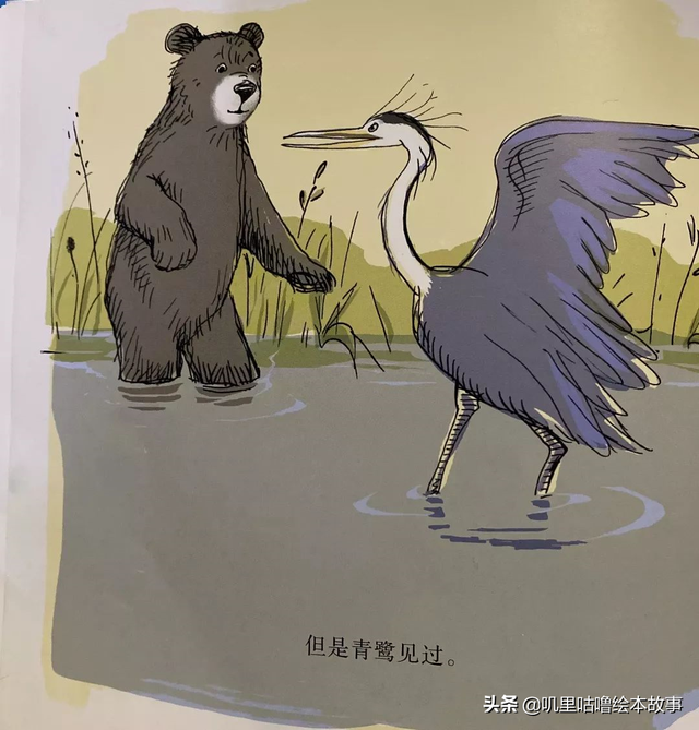 绘本故事_84《小熊的小船》儿时的爱与珍重