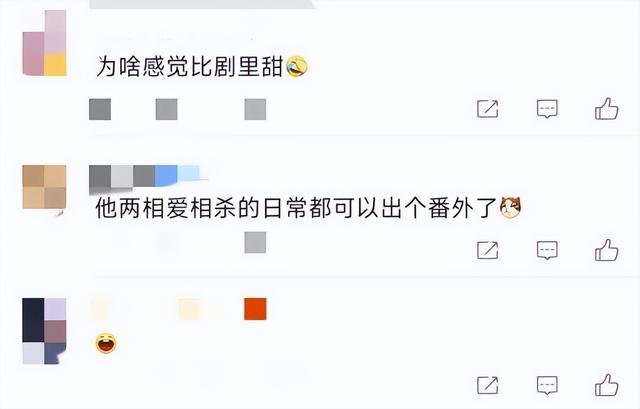 单身9年了，43岁的秦岚，终于迎来了她的春天