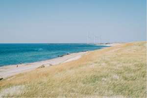 811是什么意思(比亚迪刀片电池不如宁德时代811电池?真相到底是什么?)