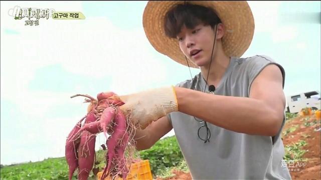 160806 《三时三餐》连续4周收视率一位 忙内柱呆萌帅气随意切换