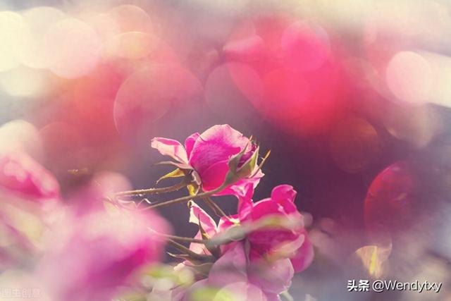 2022.01.19感恩察觉日记