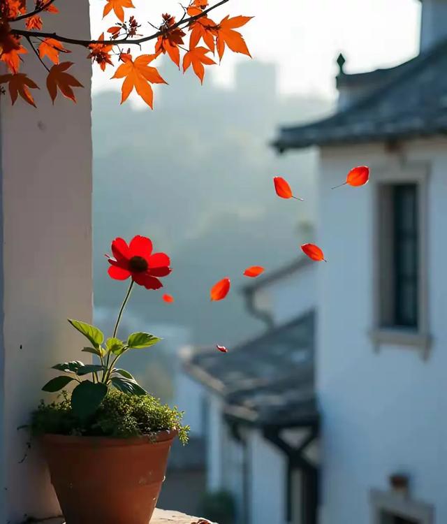 爱与恨的边缘，心该何去何从