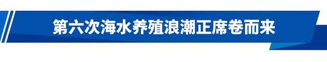 行动派·院士访谈|陈松林:破译基因“密钥”,为“蓝色粮仓”育新种