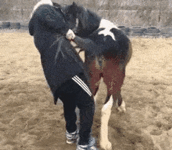 她是主演《肉蒲团》的3D女神，如今混迹直播间，颜值大变