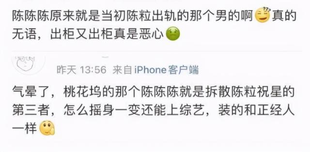 插足陈粒恋情,网友戏称“陈3”的陈陈陈,《桃花坞》也没能洗白