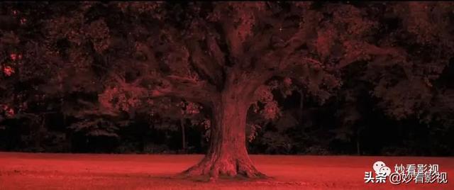 三部曲蹒跚起步——《恐惧街》