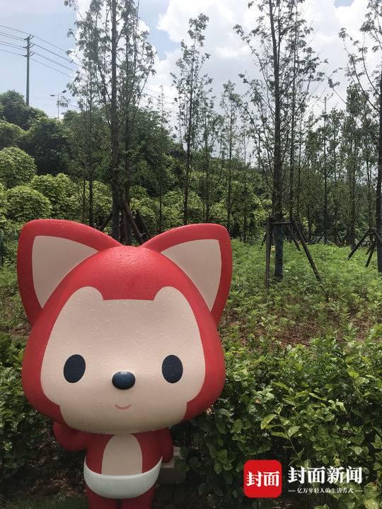 “阿狸”之父徐瀚：一个经典动漫IP，不只图像，而是故事