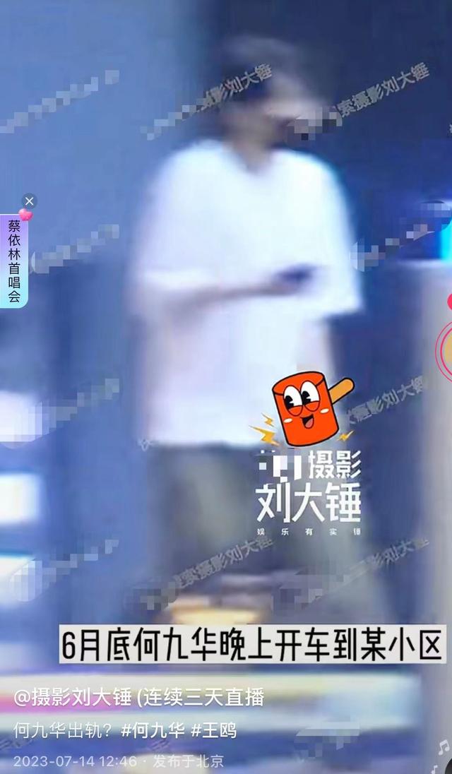 曝何九华出轨！与美女车内拥吻摸黑独处3小时，曾疑似遭王鸥逼婚