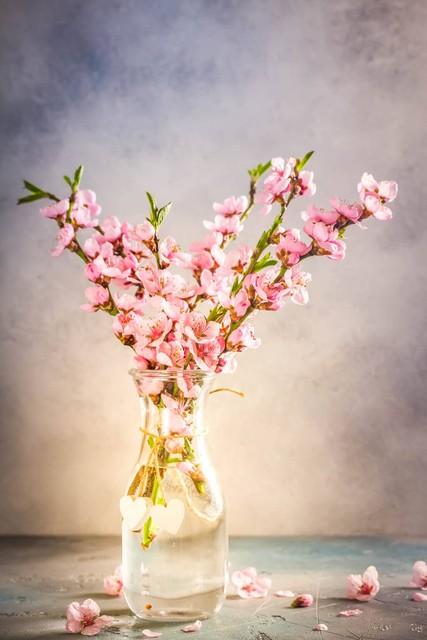 不同生肖如何靠鲜花旺桃花?揭秘十二生肖的桃花宝典!