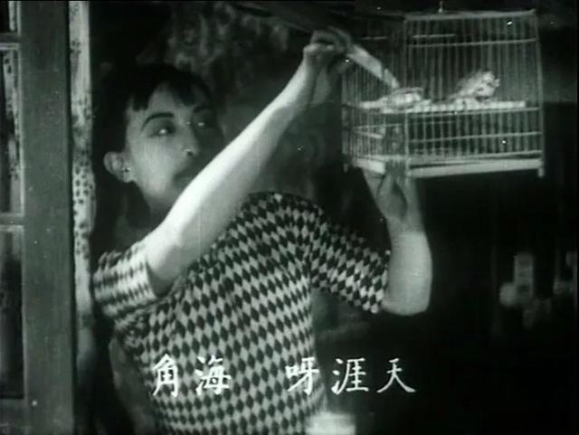 直击上影节｜这些“老地方”让你成为最地道的影迷