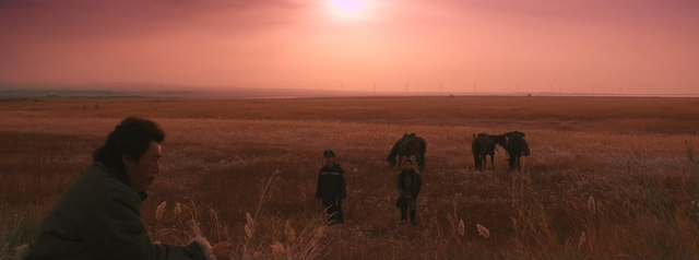 8.2分！秦昊新剧《猎狼者》再大爆，我却被曹盾与黄海波感动