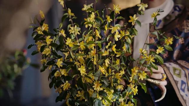 那拉氏皇后获得的最后一道御赐品,揭开当年“断发事件”遮羞布