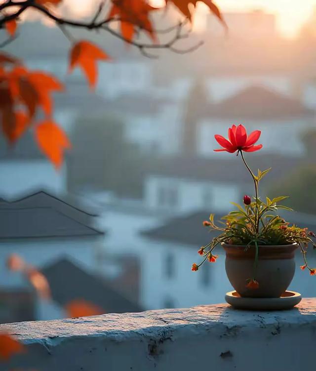 爱与恨的边缘，心该何去何从