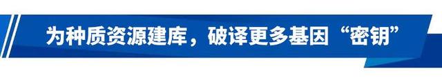 行动派·院士访谈|陈松林:破译基因“密钥”,为“蓝色粮仓”育新种