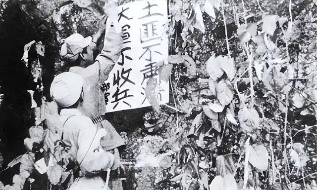 川陕四大恶匪!王三春、赖金廷等人都是什么下场?