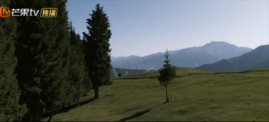 8.2分！秦昊新剧《猎狼者》再大爆，我却被曹盾与黄海波感动