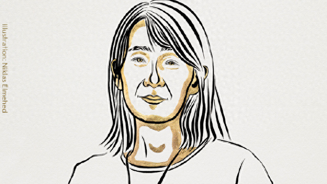 韩江之外，你所不了解的韩国文学