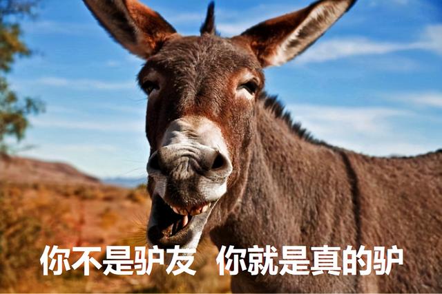 “复旦十八驴”事件11年：那一刻，18名大学生冷漠的样子让我心寒