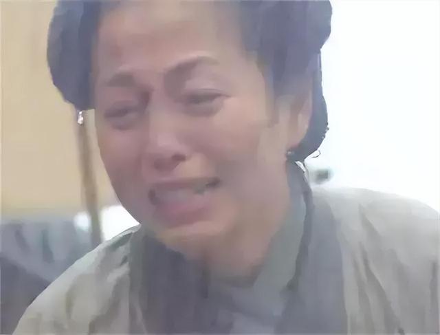 陈浩民、苑琼丹为《哪吒2》打Call！网友：当年哭惨了